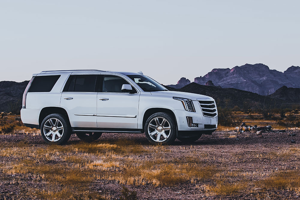 Rental rates for Cadillac SUVs across top agencies